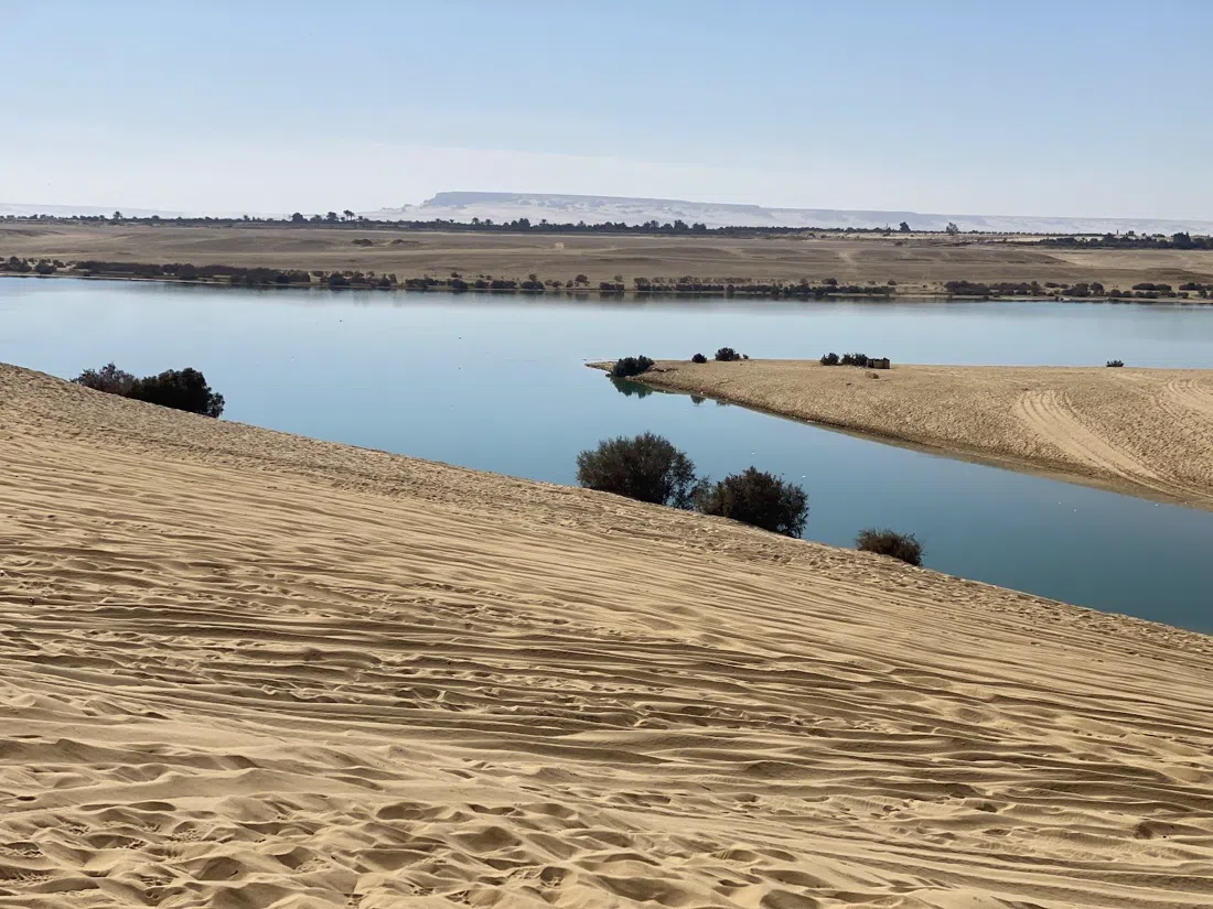 Sandboarding on the Fayoum & Magic Lake Dunes, Cairo