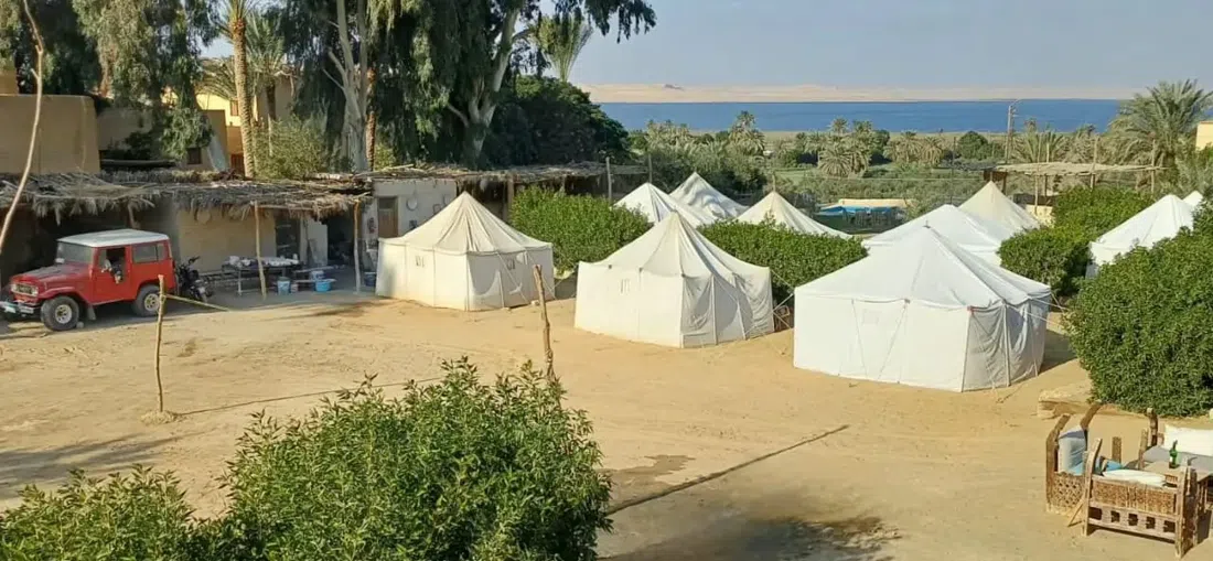Tunis Village — Fayoum Eco-Lodge Stay & Desert Camping, Cairo