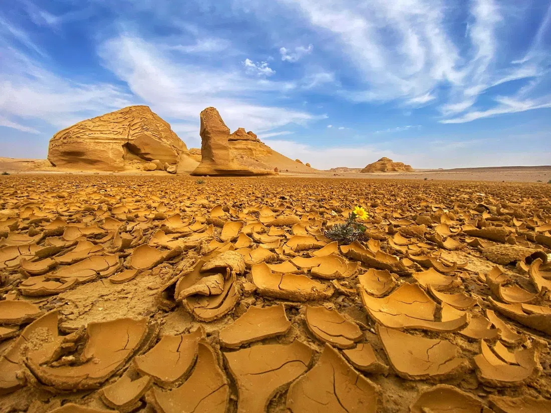 Wadi Al-Hitan (Valley of the Whales), Cairo